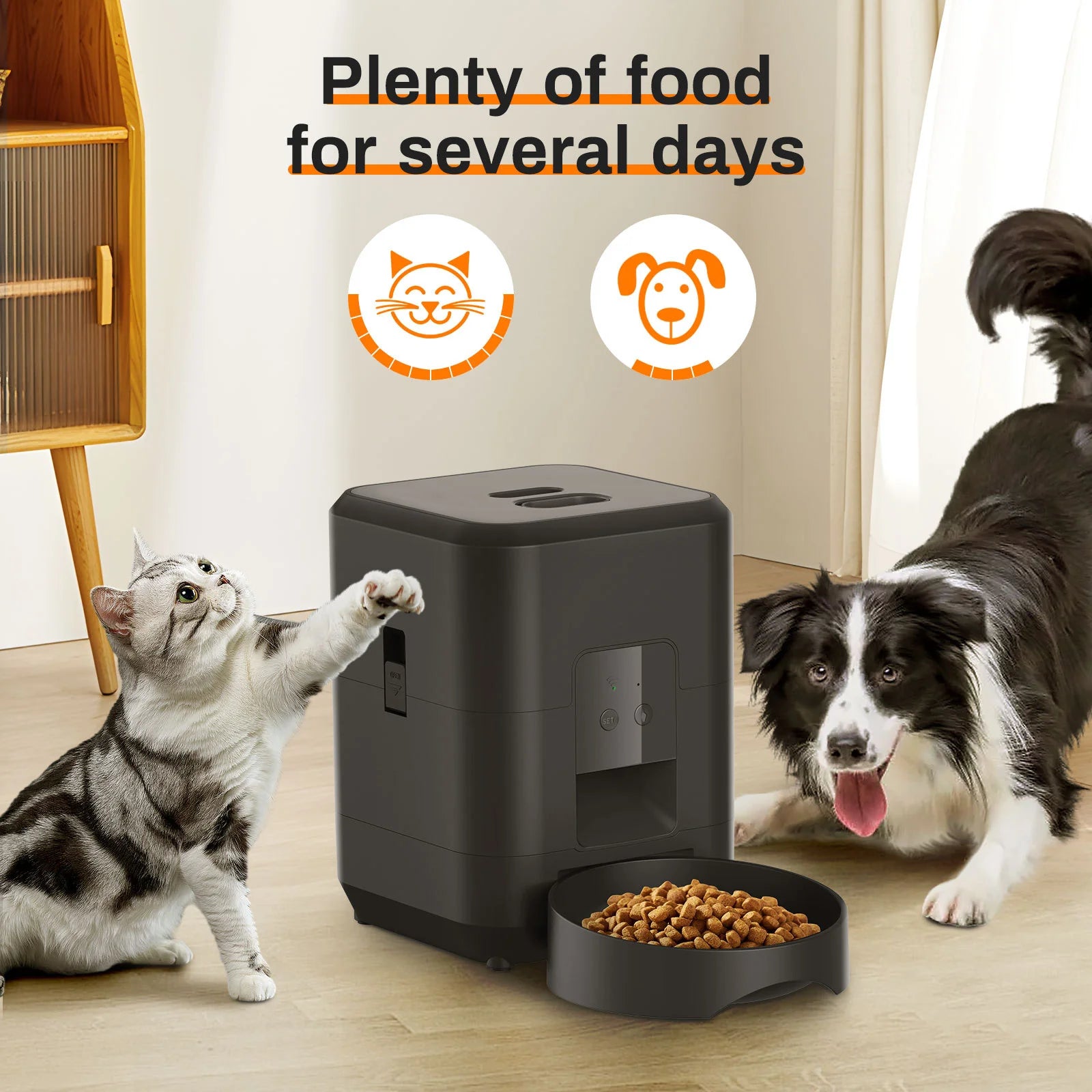 Transform Your Pet's Mealtime with the HEYBO Smart Pet Feeder - Automatic 2L Capacity for Cats & Small Dogs!
